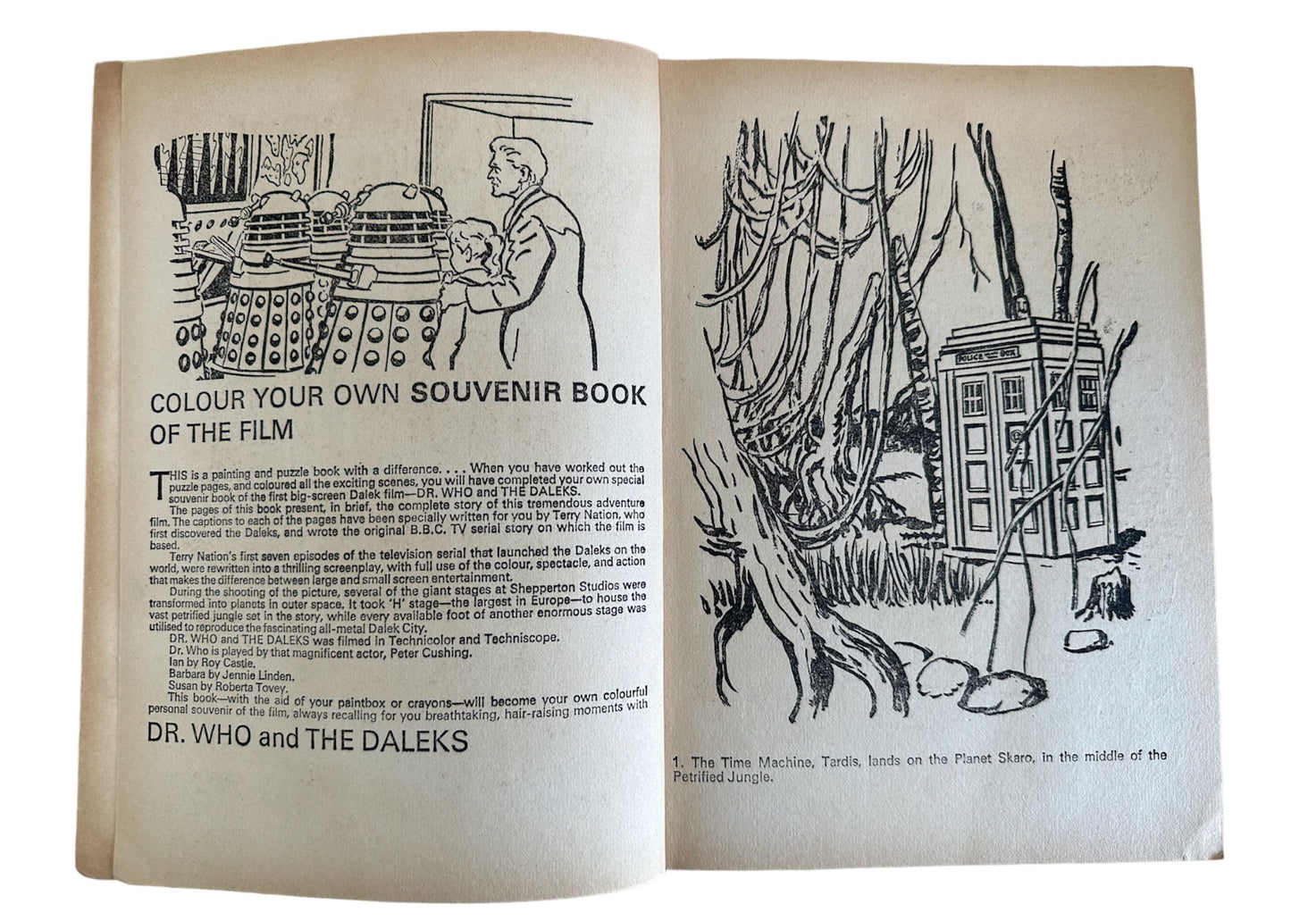 Vintage 1965 Dr Who And The Daleks Paint And Draw The Film Colouring and Activity Book - Fantastic Condition