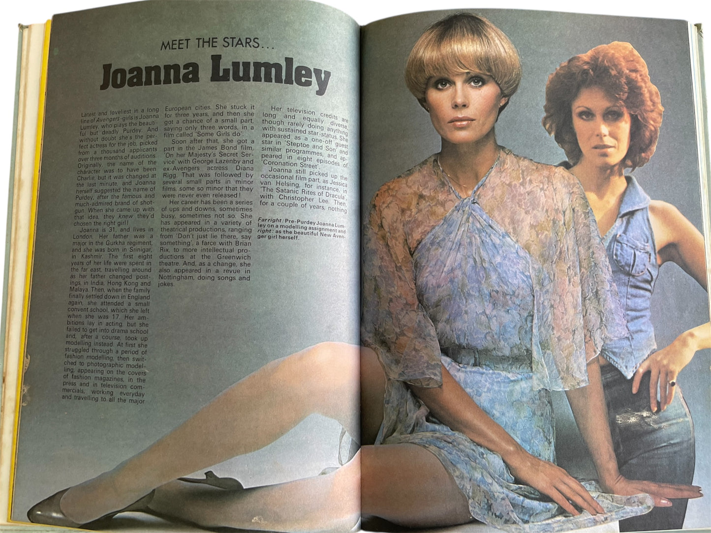 Vintage The New Avengers Annual 1978 Patrick MacNee Joanna Lumley Gareth Hunt Cover Television Related