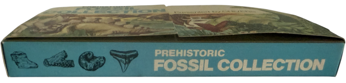 Vintage Rare 1973 Prehistoric Fossil Collection - Presented By Chivers - Contains 4 Fossils In The Box - Fantastic Condition