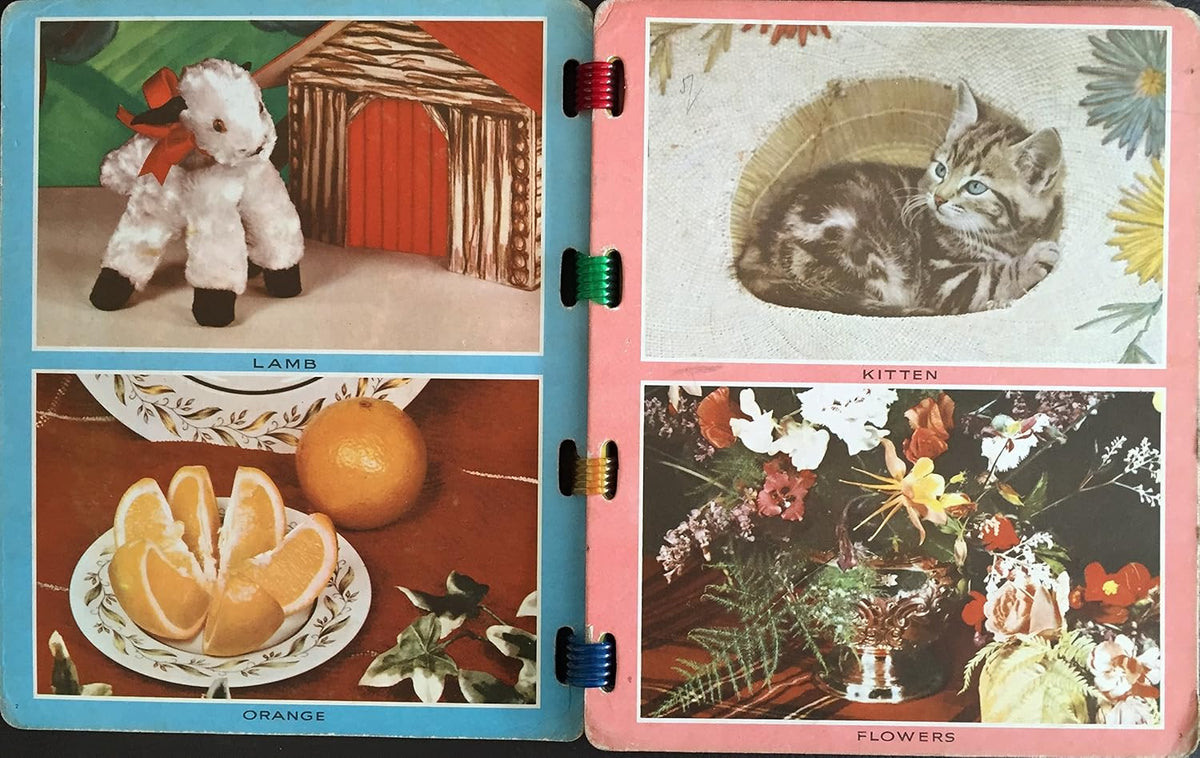 Vintage 1960's Collins - My First Board Book - Very Good Condition