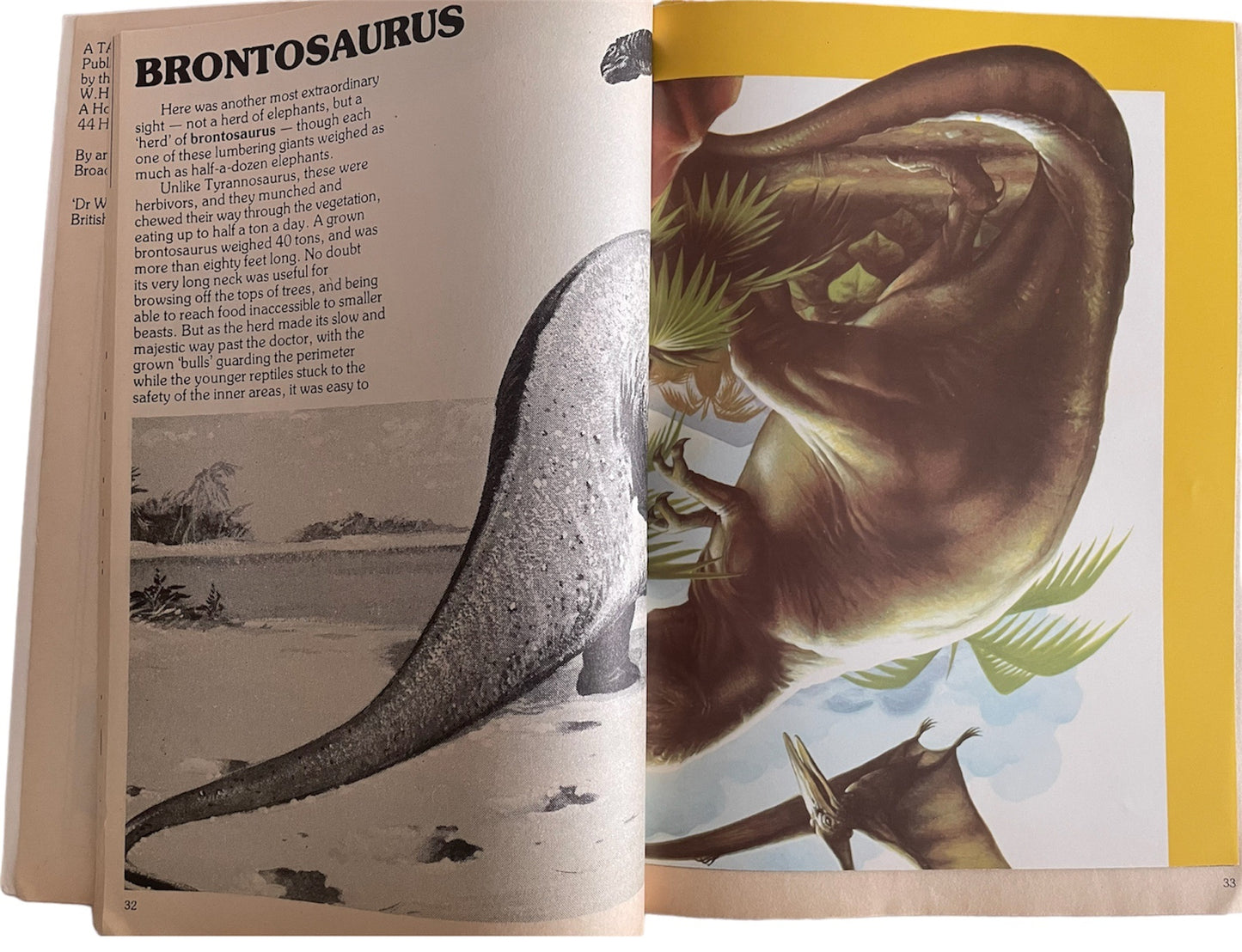 Vintage Target Books 1977 Doctor Who Discovers Prehistoric Animals Paperback Book With Free Colour Poster - Fantastic Condition Former Shop Stock