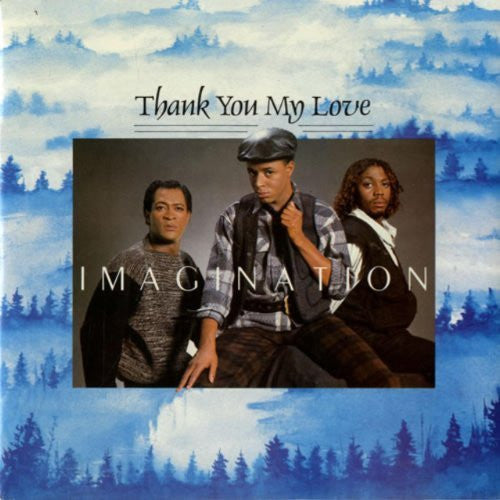 Vintage 1984 Imagination - Thank You My Love - 7" Vinyl Record - R & B Records Label