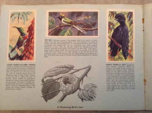 Vintage Tropical Birds Brooke Bond Card Album Complete With All Picture Cards