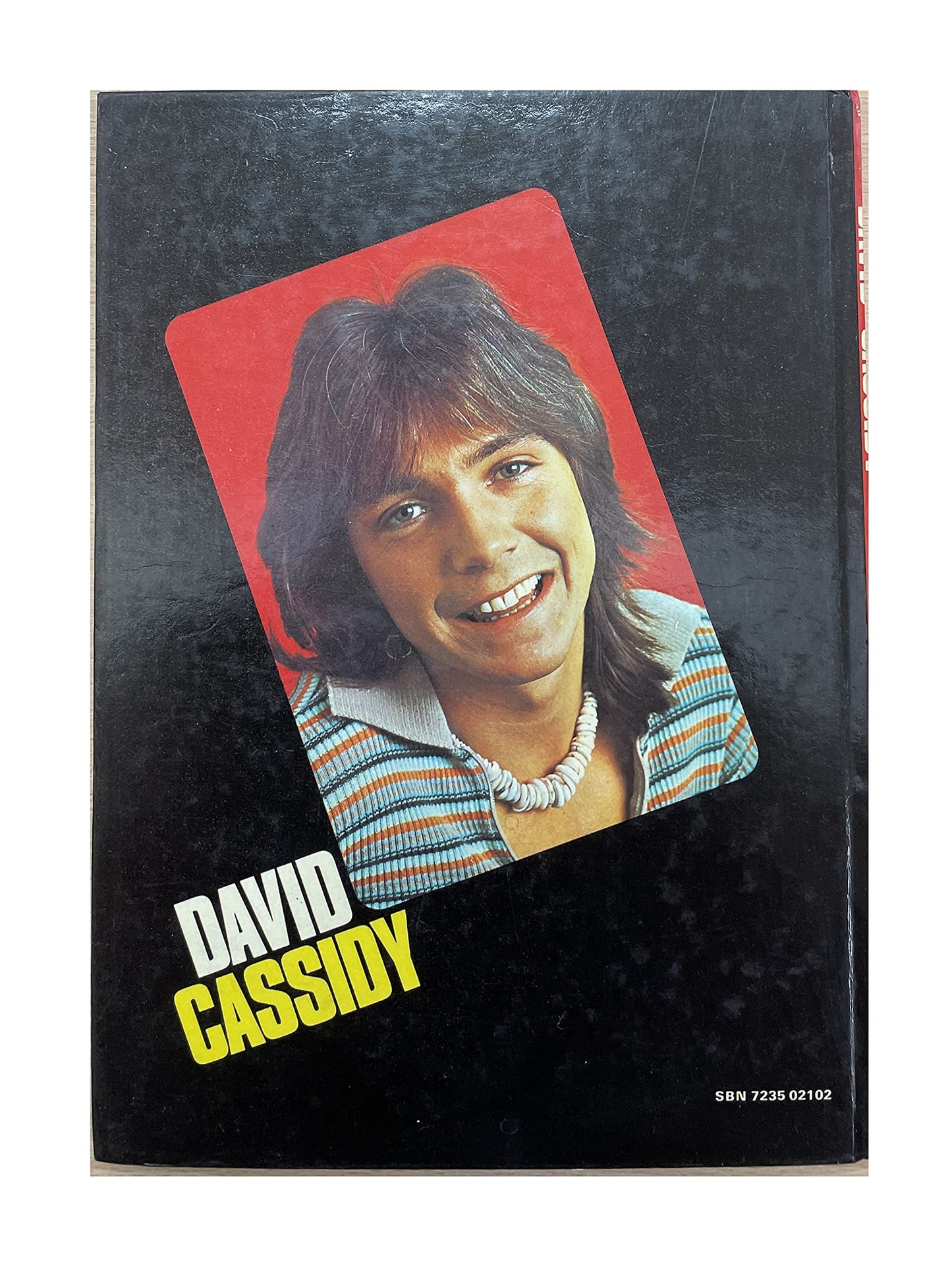 Vintage The David Cassidy Annual 1974