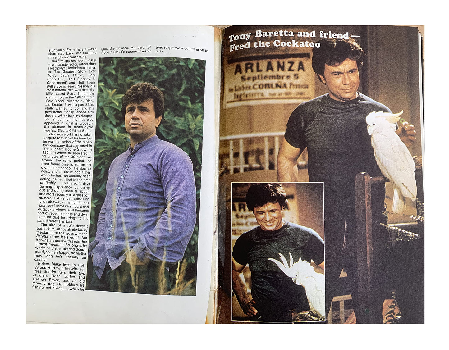 Vintage Baretta Annual 1978