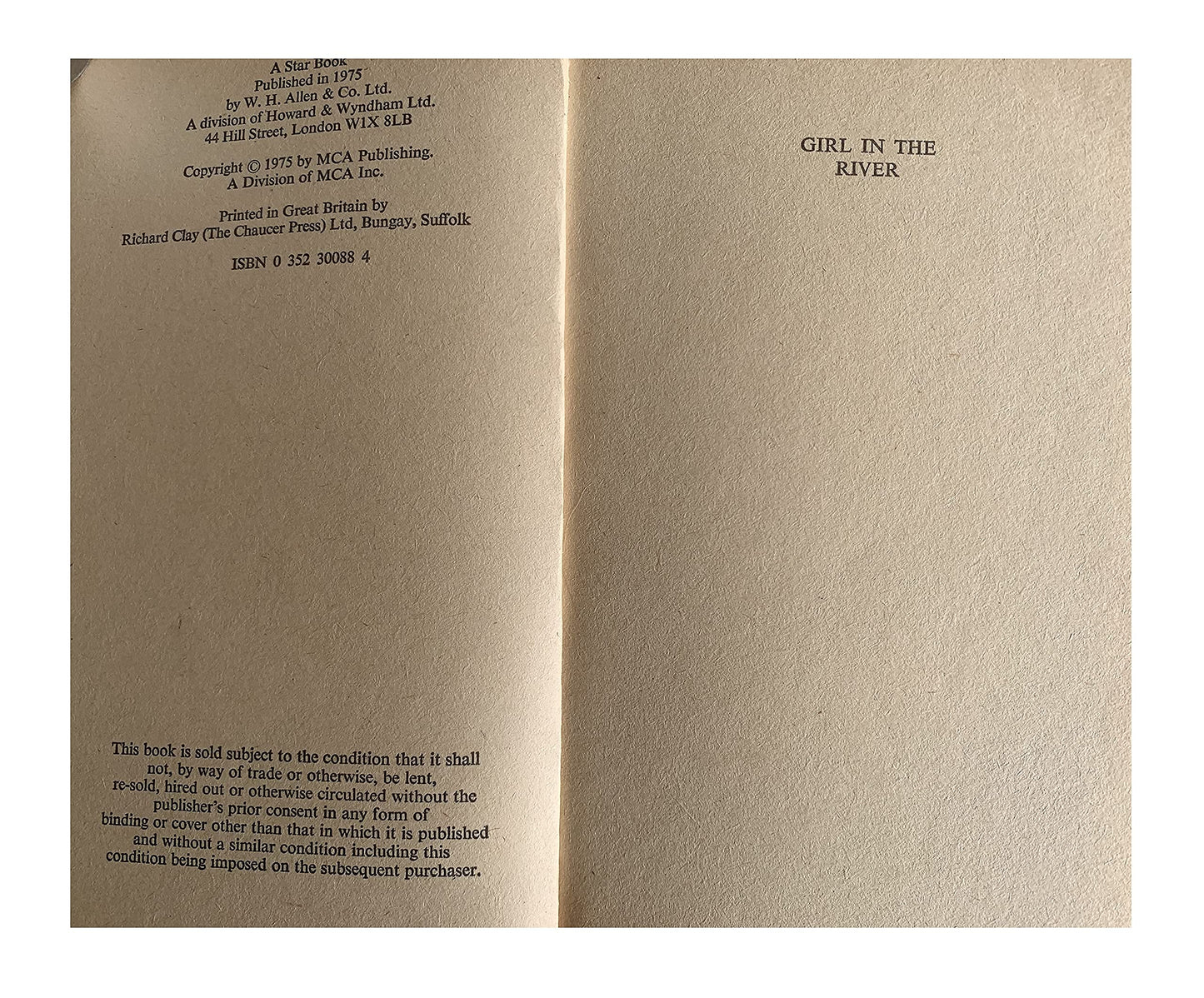 Vintage 1975 Telly Savalas Is Kojak - The Girl In The River Paperback Book by Victor B Miller