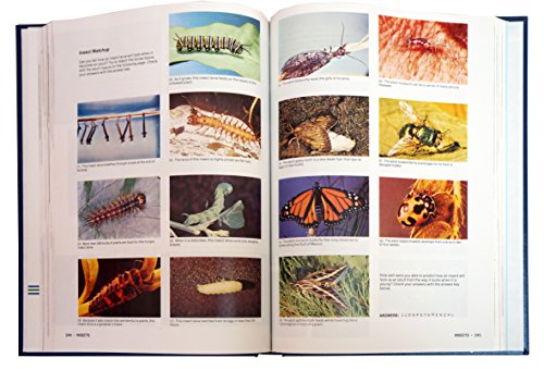Vintage 2000 Grolier's The New Book Of Knowledge Volume Number 9 - Letter I - Fantastic Condition Shop Stock Room Find