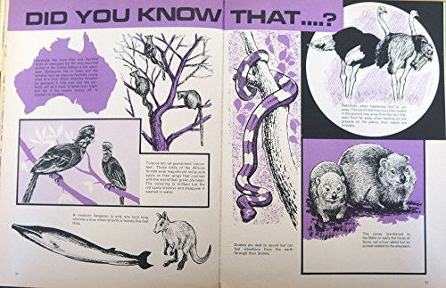 Vintage World Distributors 1967 - Ivan Tors Daktari Annual 1968