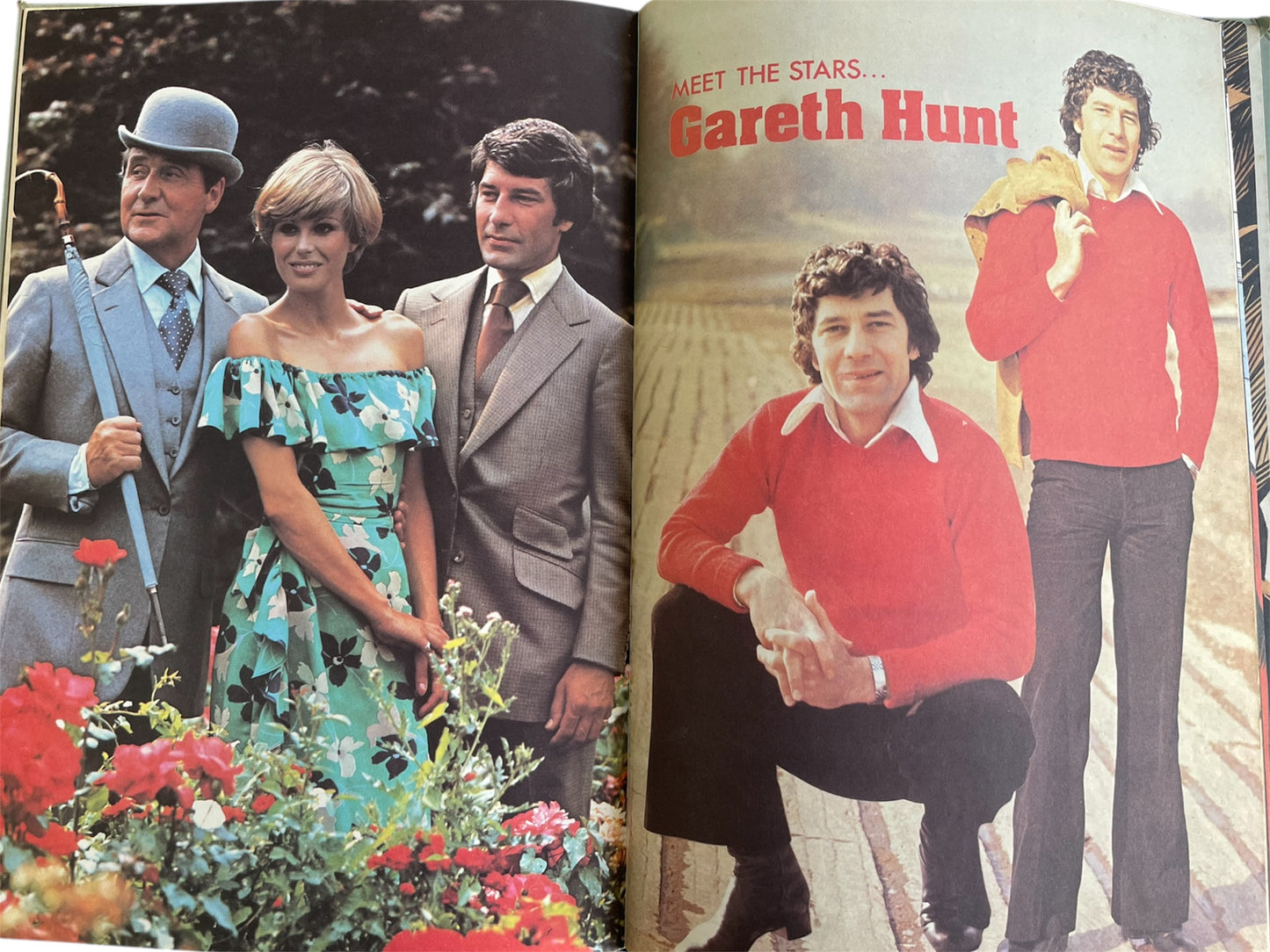 Vintage The New Avengers Annual 1978 Patrick MacNee Joanna Lumley Gareth Hunt Cover Television Related