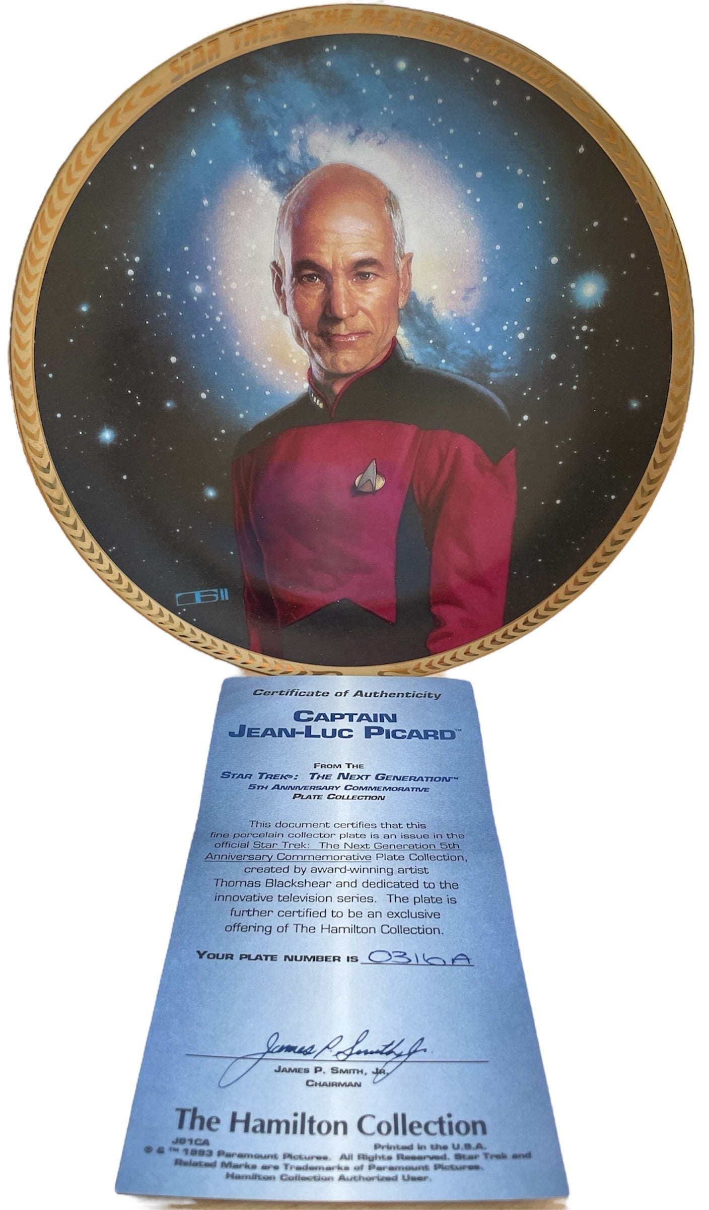 Vintage 1993 The Hamilton Collection Star Trek The Next Generation Captain Jean-Luc Picard 5th Anniversary Limited Edition Commemorative Plate - Shop Stock Room Find