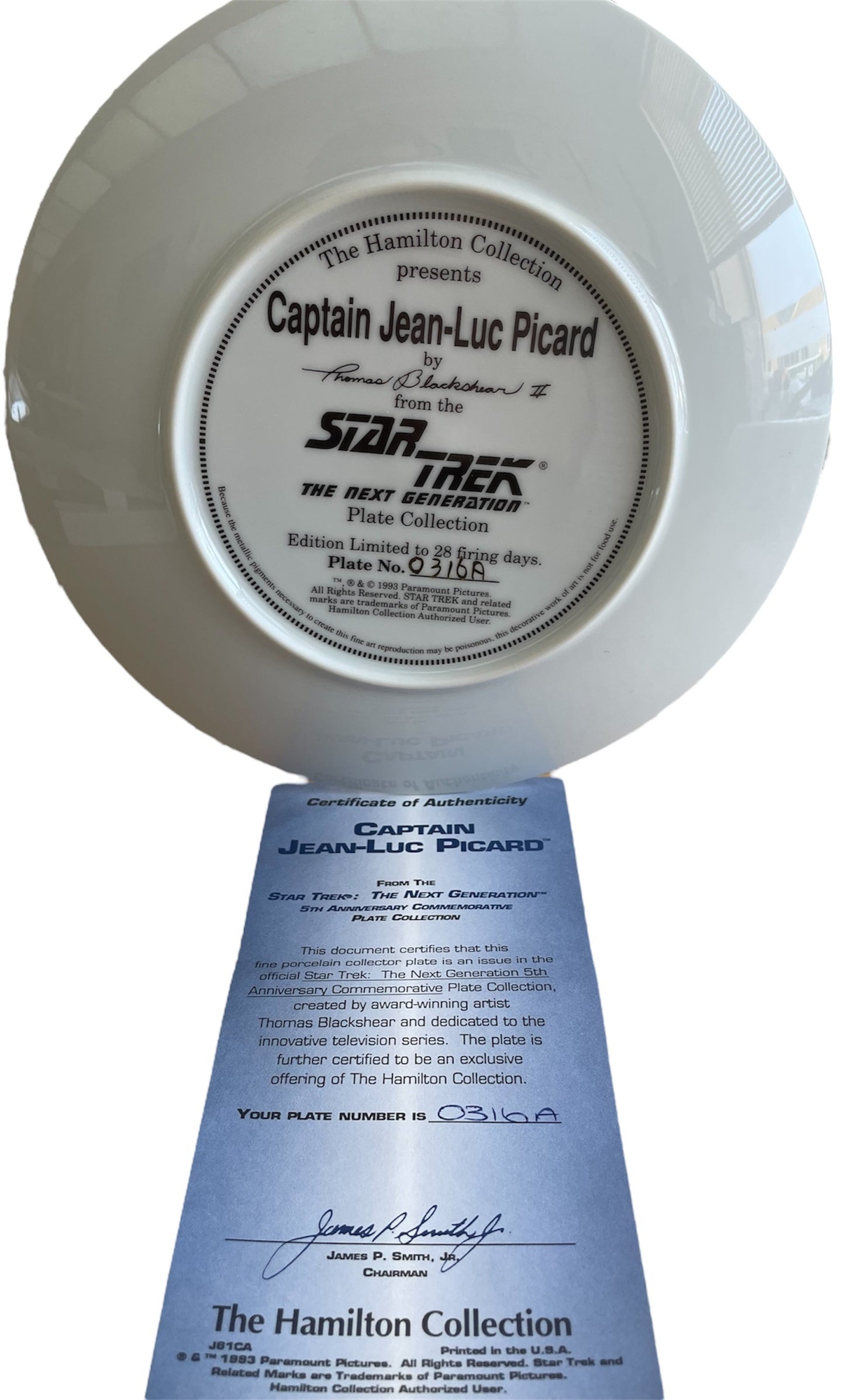 Vintage 1993 The Hamilton Collection Star Trek The Next Generation Captain Jean-Luc Picard 5th Anniversary Limited Edition Commemorative Plate - Shop Stock Room Find