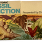 Vintage Rare 1973 Prehistoric Fossil Collection - Presented By Chivers - Contains 4 Fossils In The Box - Fantastic Condition