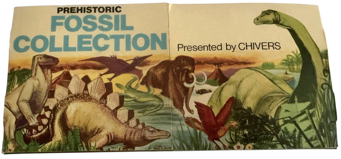 Vintage Rare 1973 Prehistoric Fossil Collection - Presented By Chivers - Contains 4 Fossils In The Box - Fantastic Condition