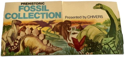 Vintage Rare 1973 Prehistoric Fossil Collection - Presented By Chivers - Contains 4 Fossils In The Box - Fantastic Condition