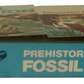 Vintage Rare 1973 Prehistoric Fossil Collection - Presented By Chivers - Contains 4 Fossils In The Box - Fantastic Condition