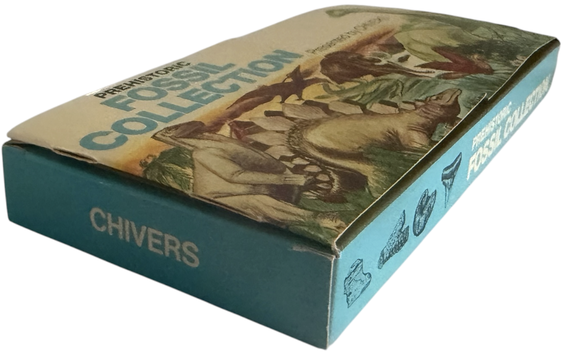 Vintage Rare 1973 Prehistoric Fossil Collection - Presented By Chivers - Contains 4 Fossils In The Box - Fantastic Condition