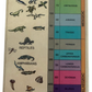 Vintage Rare 1973 Prehistoric Fossil Collection - Presented By Chivers - Contains 4 Fossils In The Box - Fantastic Condition