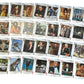 Vintage Cartamundi 2006 James Bond 007 Casino Royale Deck Of Playing Cards - In The Original Box - Former Shop Counter Display Set