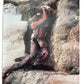 Vintage 1984 Indiana Jones And The Temple Of Doom Official Poster Magazine Edition -  Shop Stock Room Find
