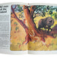 Vintage 1975 Purnell Colour Classics - Treasure Island By Robert Louis Stevenson - Large Illustrated Hardback Book