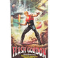 Vintage 1980 Flash Gordan The Paperback Novel Of The Blockbuster Movie - Shop Stock Room Find