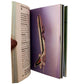 Vintage 1993 A Wordsworth Colour Guide To Civil Aircraft Mini Pocket Reference Book Ex Shop Stock