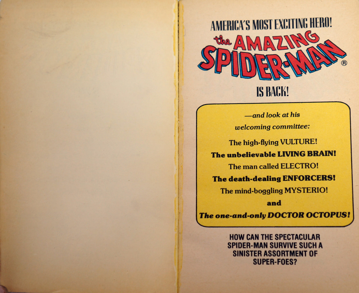 Vintage 1978 Pocket Books - Marvel Comics Series The Amazing Spiderman Vol 2 Collectors Item - Issues 7 Thru 13 Of The Classic Comics Paperback Book Collection - Fantastic Condition