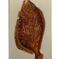 Vintage Craven Black Cat Collectors Edition Authentic Cigarette Cards Sport Fish Complete Set Of 50 Cards - New In Pack