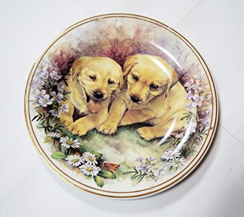 Puppy Adventures Vintage 1987 Pottery Plus Fine Bone China Collectable Plate