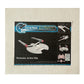 Vintage 2006 Star Starship Modeler Trek Kit Factory - USS Enterprise Model Kit And Perimeter Action Ship Conversion Kit - Mint Condition And Factory Sealed