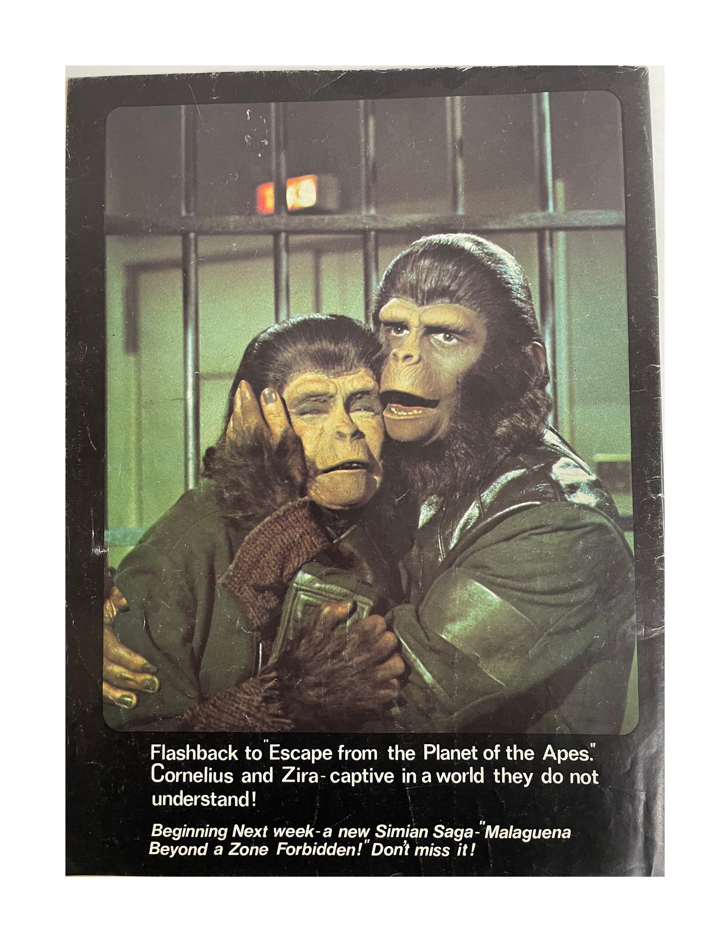 Vintage 1976 Marvels Comics - Planet Of The Apes Comic Issue No. 74 - March 20th 1976 - Former Shop Stock