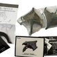 Vintage Star Trek Furuta 2004 Federation Ships And Alien Ships Collection - The Secret Ship - The Romulan Warbird - New In Sealed Bag In Original Opened Box