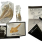 Vintage Star Trek Furuta 2004 Federation Ships And Alien Ships Collection - The Galor Class Warship - New In Sealed Bag In Original Opened Box