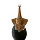 2013 Star Trek The Offical Star Ship Collection - The Galor Class Warship - By Eaglemoss - Former Shop Counter Display Mode