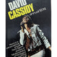 Vintage The David Cassidy Annual 1974