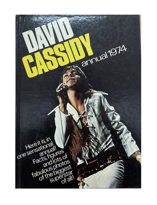 Vintage The David Cassidy Annual 1974