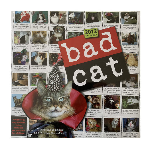 Vintage 2012 Bad Cat Wall Calendar - Factory Sealed Shop Stock Room Find