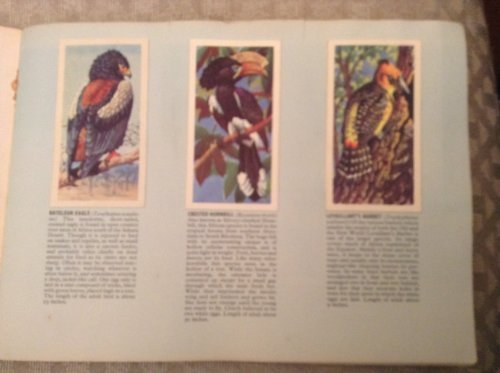 Vintage Tropical Birds Brooke Bond Card Album Complete With All Picture Cards