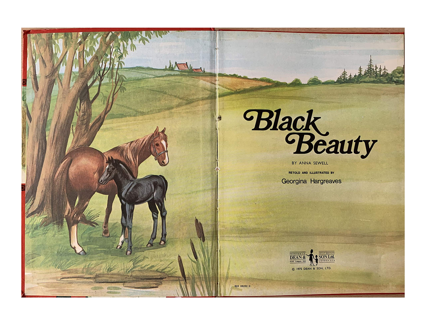 Vintage 1975 Black Beauty Hardback Book