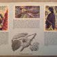 Vintage Tropical Birds Brooke Bond Card Album Complete With All Picture Cards