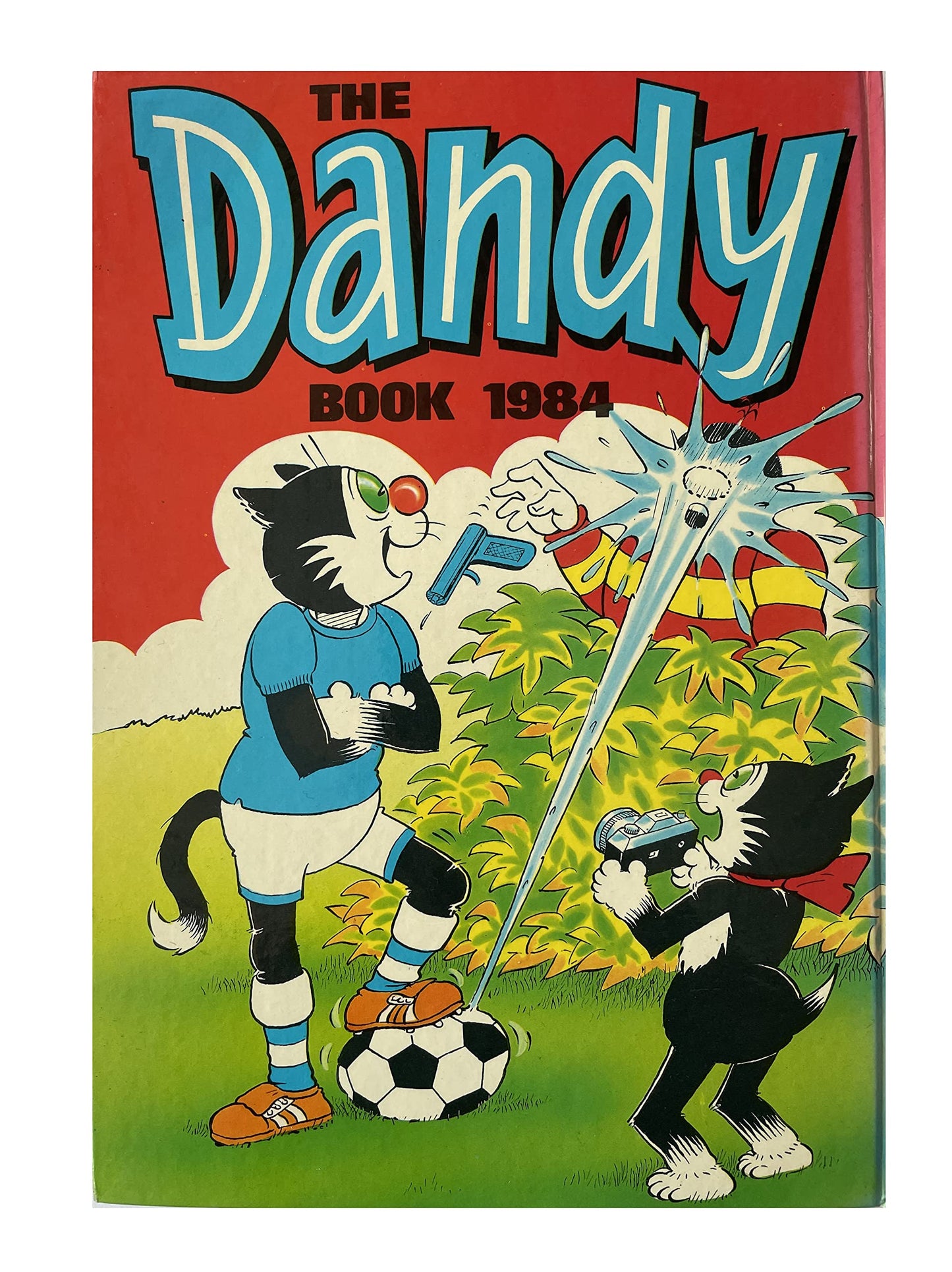 Vintage The Dandy Book Annual 1984