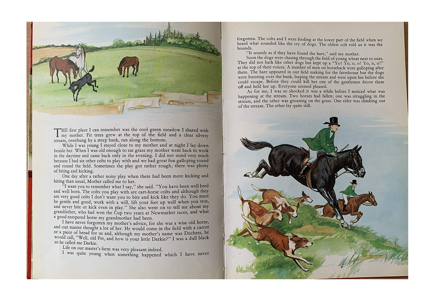 Vintage 1975 Black Beauty Hardback Book