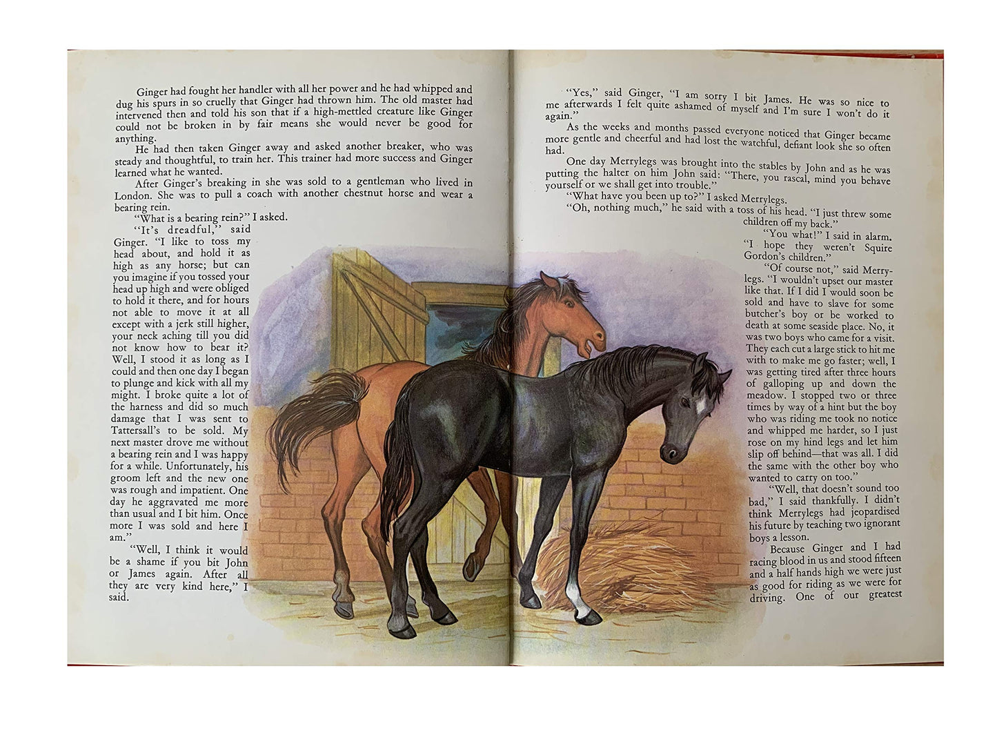 Vintage 1975 Black Beauty Hardback Book