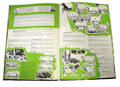 I-SPY ANNUAL. [hardcover] No Author. [Jan 01, 1979] …