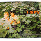 I-SPY ANNUAL. [hardcover] No Author. [Jan 01, 1979] …