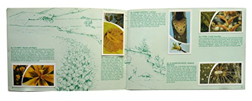 Small wonders. [loose_leaf] Brooke Bond Oxo Ltd. - [Jan 01, 1975] …