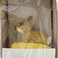 Vintage Tetley Tea Wildlife Collection Set Of Three Figures Including Puffin, Rabbit & Dear All Mint In Boxes …