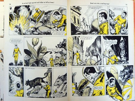 The Hotspur Book For Boys 1971 Hardcover – 1969