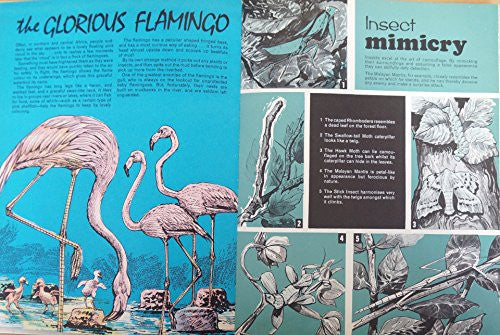 Daktari Annual 1969 [Unknown Binding] [Jan 01, 1969] …