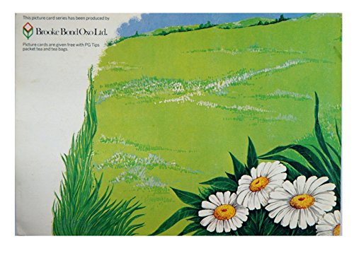 Small wonders. [loose_leaf] Brooke Bond Oxo Ltd. - [Jan 01, 1975] …